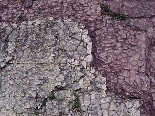 Mud cracks, Virginia