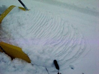 Thrust Faults in Snow