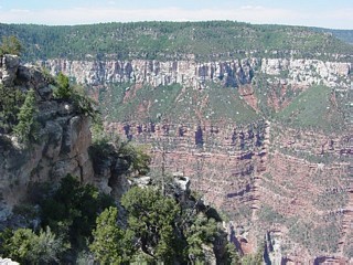 North Rim, Grand Canyon, Arizona