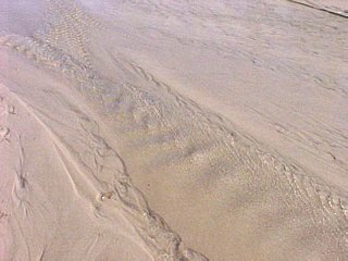 Great Sand Dunes, Colorado