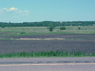 Minnesota Valley Gneiss