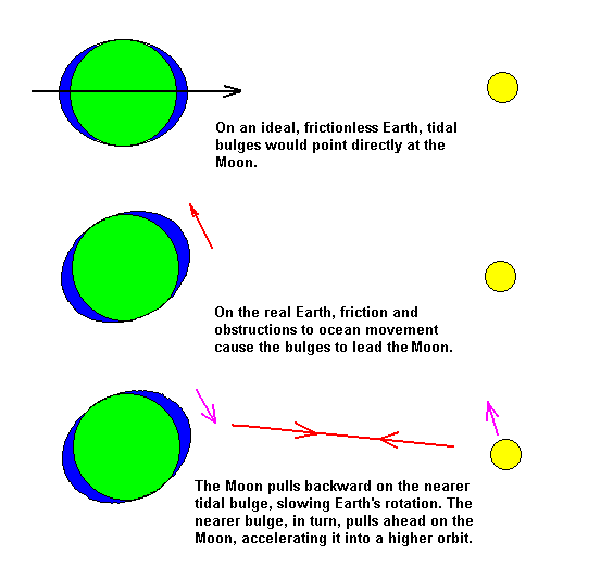 Tides and Earth's Rotation