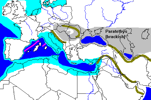 Mediterranean 10 m.y. ago