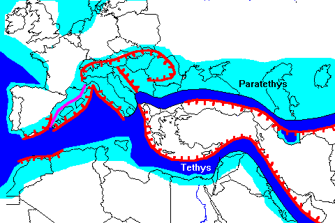 Mediterranean 20 m.y. ago