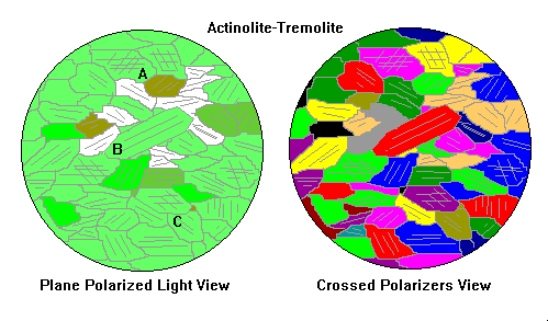 Actinolite-Tremolite in thin section